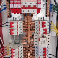 WhatsApp Image 2026-02-14 at 08.28.37